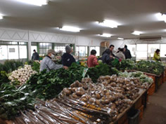 新座市片山農産物直売所