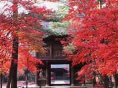 平林寺
