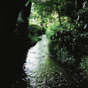 野火止用水